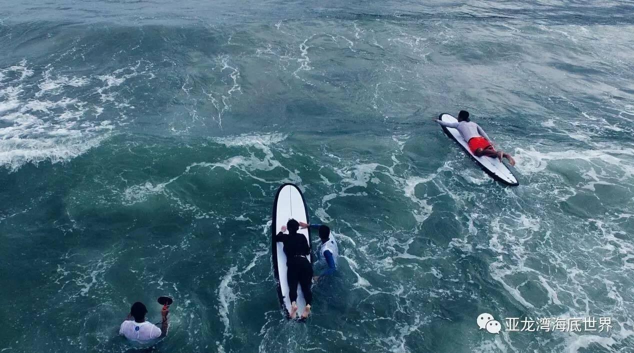 海底世界填颜色5